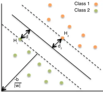 Figure 2.1: Separating hyperplane in Support Vector Machine