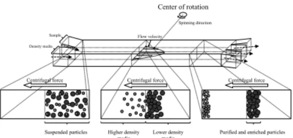 Fig.  1  Schematic  illustration  of  continuous  density gradient centrifugation.
