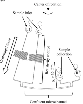 Fig. 7 Simulated secondary flow behavior.