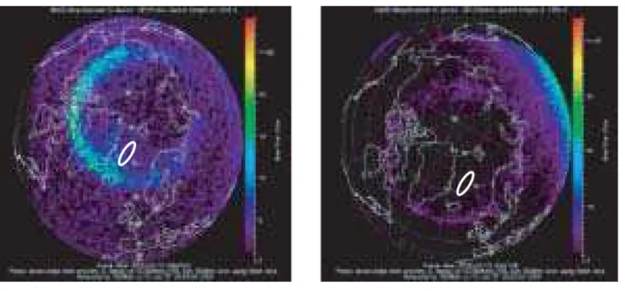 図 3.17: IMAGE 衛星によって観測された、 2002 年 2 月 12 日 0501UT 付近での、北半球極域地方