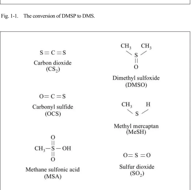 Fig. 1-2.    Sulfur compounds.. 