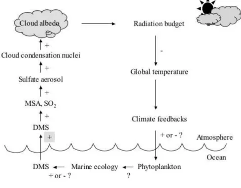 Fig. 1-3.    The feedback system linking oceanic plankton and  climate through the production of atmospheric sulfur