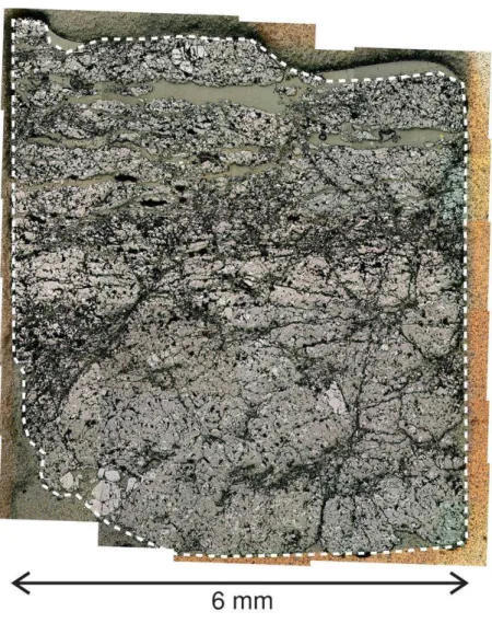 Figure 2.3: Reflected-light micrograph of specimen i01. The upper base is the crater floor
