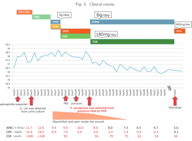 Fig. 5 Clinical course PIPC/TAZ VCM DAPCFPM WBC 䠄㽢10 3 /ʅL䠅 11.7 12.8 9.9 9.0 10.0 8.6 8.0 7.3  6.5 4.7 3.6 CRP 䠄 mg/dL 䠅 15.4 14.5 8.9 7.0 6.6 4.6 2.4  1.4 0.9  0.3     0.1 ESR 䠄 mm/h 䠅 >100   >100 93 94 79 75 61 54 34'LVFRPIRUW DQG SDLQ LQVLGH WKH 