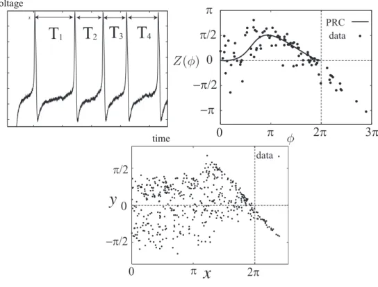 Figure 3.1: The left panel shows fluctuation of the periods. The ith inter-spike interval is denoted