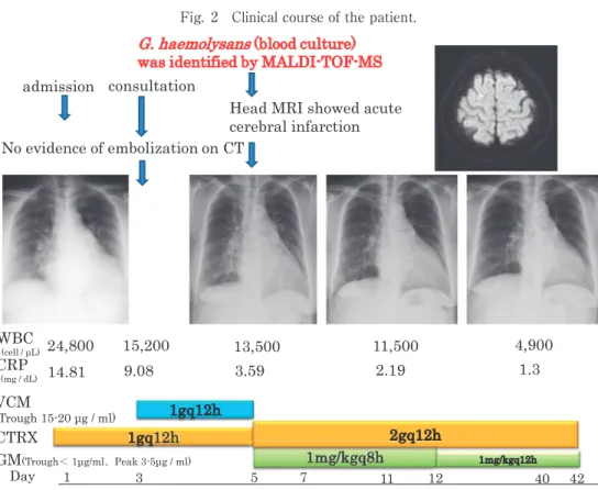 Fig. 2 Clinical course of the patient.