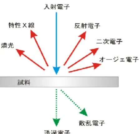 図 3 GaAs 基板上の CaSrF 2 結晶の断面 TEM 像 