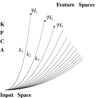Figure 3.1: Individual reproducing kernel Hilbert space for each kernel of the kernel principal component analysis (KPCA).