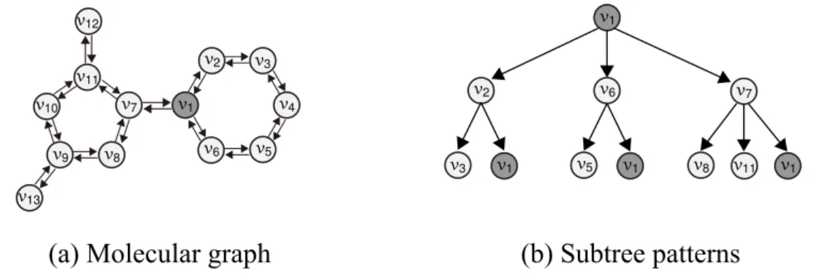 Figure 2.3 A molecular graph (left) and subtree patterns up to the height h = 2 rooted at the node v 1 (right)
