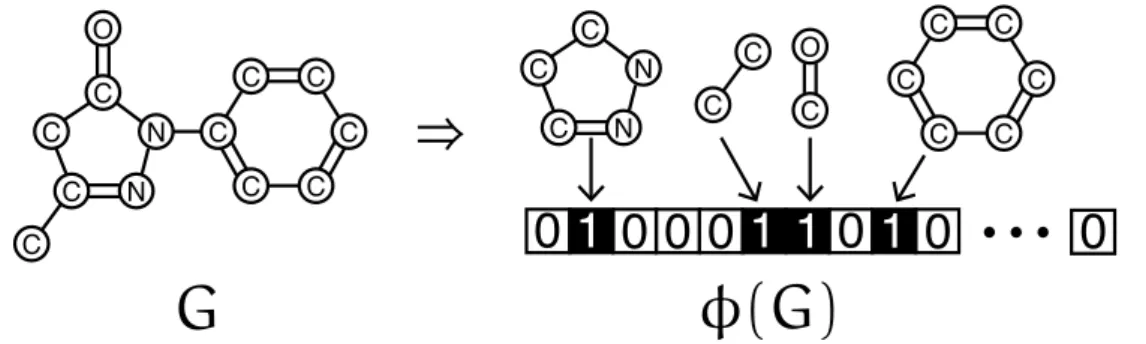 Figure 2.6 Given a molecule graph G, the traditional fingerprint is defined as a binary vector ϕ(G) such that it indicates the presence or absence of predefined particular substructures in G.