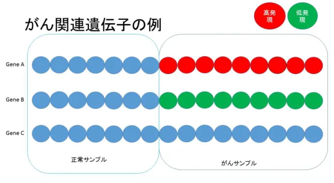 図 1 がんサンプル全てで正常サンプルに対して高発現，または，低発現している模式図 そして， GeneA や GeneB のようにがんサンプル全体で正常サンプルよりも高発現，ま たは，低発現しているような状況も考えられるが，実は少ないということが上でも書いた とおりであり，候補の中にあったとしても，遺伝子によってはがんサンプルで，細胞増殖 能に影響を与える，または，増殖能を抑制しているというような性質を持たず，正常サン プルと同じ振る舞いをしているものが存在するということが考えられる．このように，が んサン