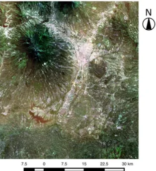 Fig.  2.  A  Landsat8-OLI  image  of  the  study  area.  The  multi-band  data  was  shown with the true color image