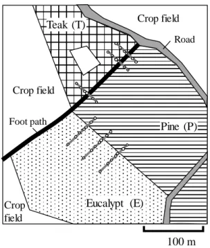 Table 2. Stand structure and growing crops of the studied three agroforestry  (AF) patches