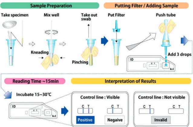 Fig. 1 Procedures of the Campylobacter Antigen Detection Kit