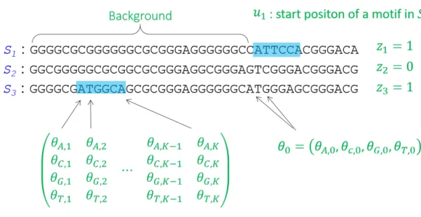 Fig. 3.4 The schematic view of the ZOOP model. Here, although all sequences look same length, there is no such a restriction.