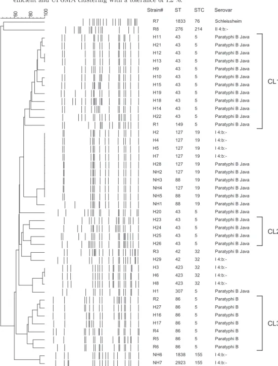 Fig. 2 Clustering analysis of XbaI-PFGE patterns. Corresponding strain no. (R, H and NH   indicate reference, human and non-human strains, respectively), ST, STC, serovar or an-tigenic formula, and major clusters (CL) are indicated on the right. The PFGE p