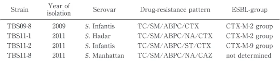 Table 8 ESBL-producing  Salmonella  strains  isolated  from  domestic  chicken meat
