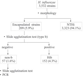 Fig. 1. Flow  chart  of  detection  of  serotype  for  clinical isolates of Haemophilus influenzae