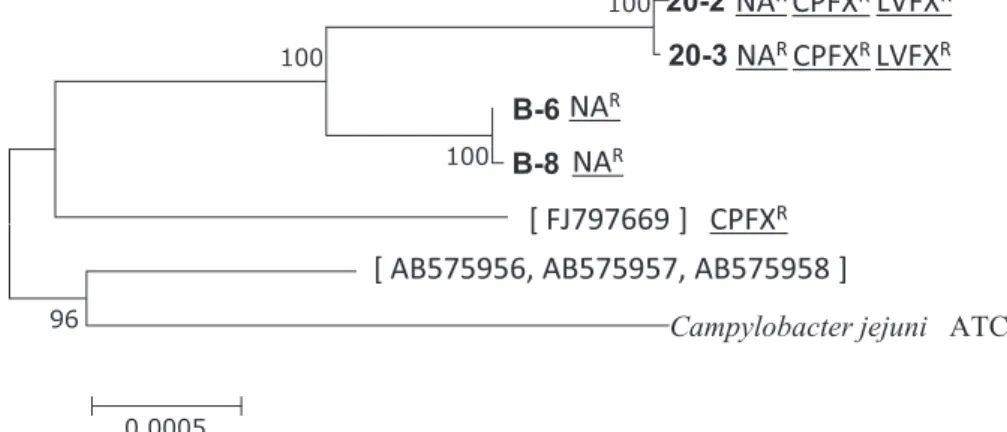 Fig. 1 Phylogenetic tree showing nucleotide sequence clusters for cmeABC from Campylo- Fig. 1 Phylogenetic tree showing nucleotide sequence clusters for cmeABC from Campylo-bacter jejuni and C