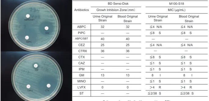 Table 2 Previous reports of Oligella urethralis infection.