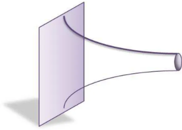 Figure 2.1: Multiple D1-branes (M2-branes) sticked in a D3-brane (M5-brane). In D3 point of view, this is a spike solution