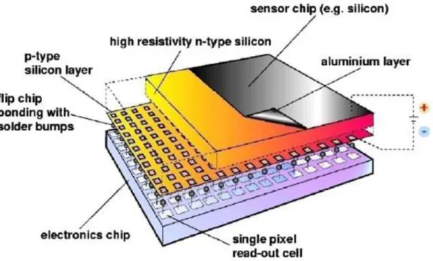 Figure 2.4: Schematic view of Medipix [4].
