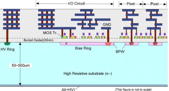 Figure 3.10: Cross sectional view of the SOI pixel process model.