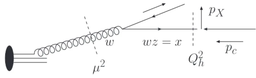 Figure 9: The g → q¯q splitting which contributes to the quark PDF.