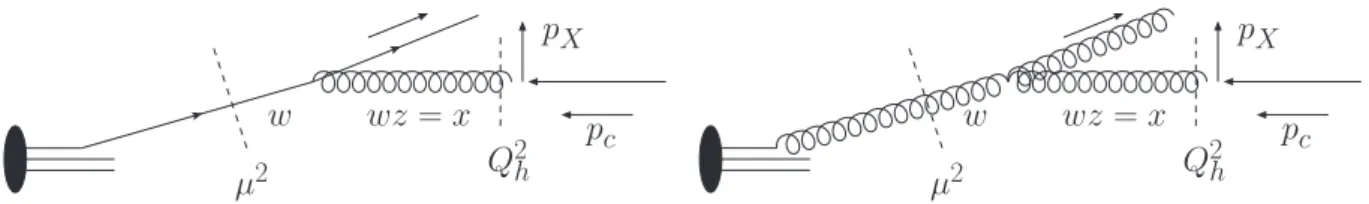Figure 10: The q → gq splitting (left) and the g → gg splitting (right) which contribute to the gluon PDF.