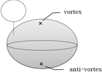 Figure 6.1: Localization of the vortex and anti-vortex on the base S 2