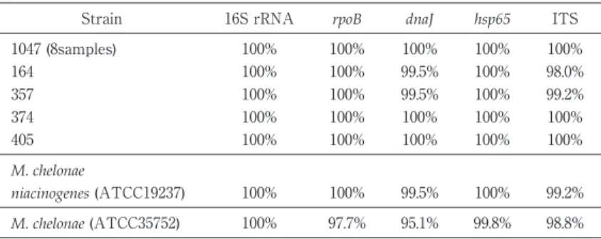 Table 1 Comparison of DNA sequences similarity (%) in several re- Table 1 Comparison of DNA sequences similarity (%) in several re-gions  among  isolate  1047,  other  isolates  and  the  related  ATCC  type strains