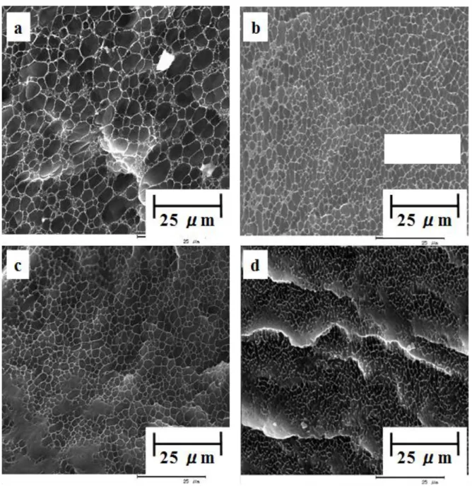 Fig. 3-7  SEM  images  of  PP/PE=30/70  blend  with/without  EEBE;  a)  0wt%,  b)  1wt%,  c)  3wt%,  and  d)  5wt%