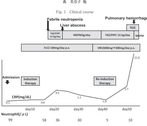 Fig. 1 Clinical course