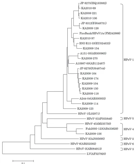 Fig. 3 Phylogenetic  tree  based  on  nucleotide  sequence  of  the  VP1  reagion  showing  the  relationship  between  detected  HPeV  and  HPeV  reference  strains.  (GeneBank  accession  numbers  are  in   pa-rentheses.) た平成 21 年度以降の 8 検体からは細胞培養により HPeV