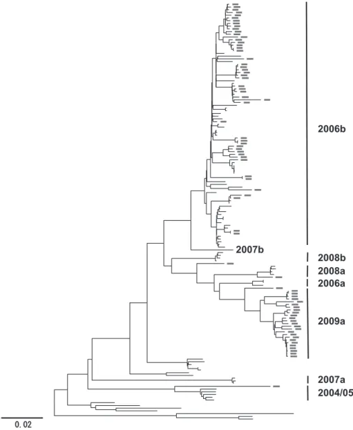 Fig. 1 Phylogenetic  classification  of  the  GII.4  variant  subgroups  in  Japan  during  2006-2010. The maximum likelihood tree was constructed with the near-full-length  genome sequences ( 〜 7.5 kb) obtained from 20 sites in Japan between May 2006  and