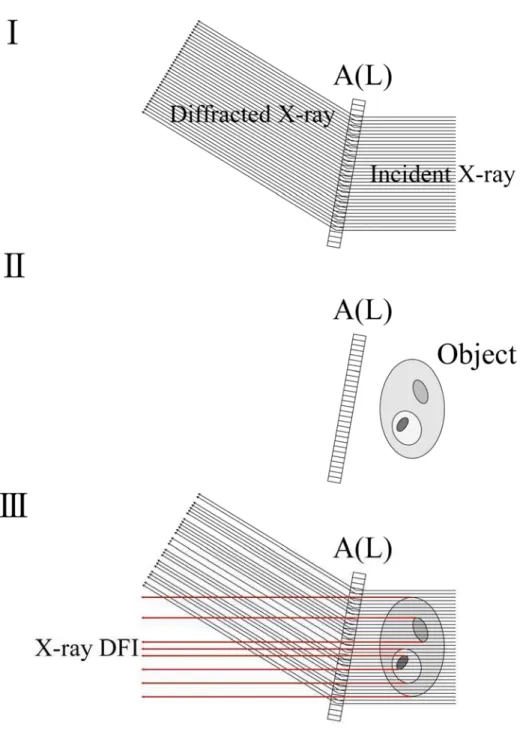 Figure 15. Steps involved in acquiring X-ray DFI. 