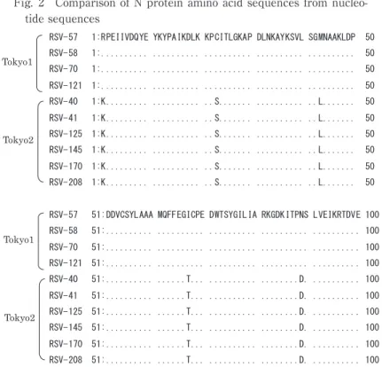 Fig. 2 Comparison of N protein amino acid sequences from nucleo- Fig. 2 Comparison of N protein amino acid sequences from nucleo-tide sequences ルスは，大きく 3 つのクラスターに分かれた．クラス ター 1 は，ヨーロッパ・中近東，アフリカ I〜III，日 本・中国，北米，メキシコ，南米，ロシア I，ロシア II・日本型のサブクラスターを含む世界的に流行がみ られる