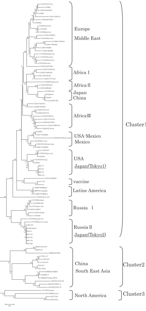 Fig. 3 Phylogenic nucleoprotein (N) gene tree (490bp fragment) from 96 rabies viruses