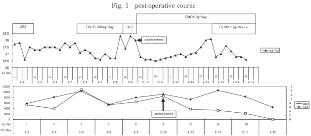 Fig. 1 post-operative course