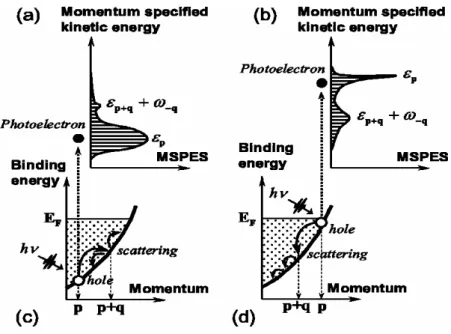 Fig. 3. MSPES and the multiple e-ph scattering process in a uniform system. In (c) and (d), a hole is created near  the band bottom and the Fermi surface, respectively, by the photo-excitation, then scattered by phonons