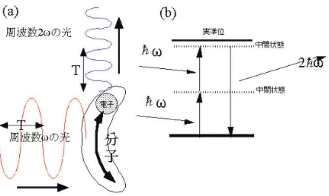 Fig. 1. (a) Classical model of optical second harmonic genera- genera-tion from a banana-shaped molecule.(b) Quantum mechanical  model of optical second harmonic generation