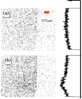 Fig. 5. (a) Optical second harmonic image of a Pt surface in an  ultra-high vacuum. The dark spots are photons
