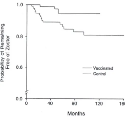 Fig. 3 Herpes zoster protection after Oka varicella vaccine immunization 23 わが国では高橋を班長として，平成 12 年度厚生科学 研究費補助金・新興・再興感染症事業「帯状疱疹神経 痛の予防を目的とする成人高齢者への水痘ワクチン接 種による免疫増強に関する研究」（H12―新興―34）が 行われた．その研究で，帯状疱疹のリスク因子である VZV に対する免疫低下に対して，帯状疱疹の予防の サロゲート（代用）マーカーである VZV の免疫