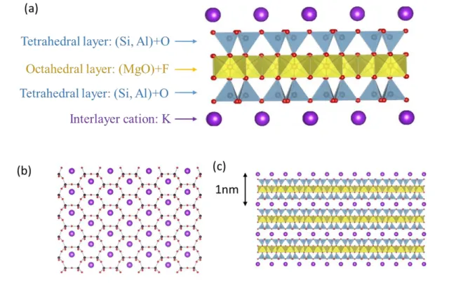 Figure 1.2: Crystal structure. (a) Structural unit of mica. Surface structure of phlogopite mica: (b)  [001] projection and (c) [100] projection