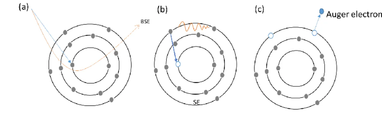 Figure 2.4: (a) The incident electron makes the ionization of the core level electron in the atom