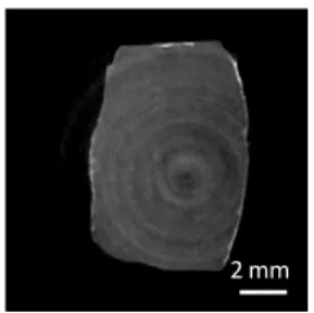Figure 2 Cross section image of natural gas hydrate pellet by XII.  