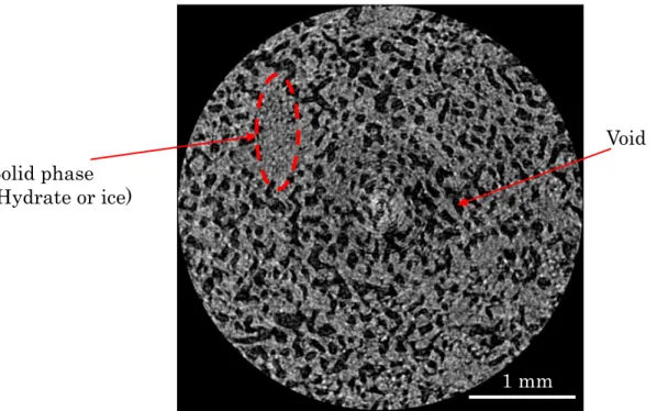 Figure 1.13 Cross section image of gas hydrate pellet of PDU obtained by X-ray computed  tomography
