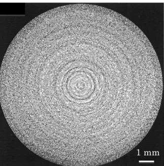 Figure 1.17 Cross section image of gas hydrate pellet of BSU obtained by X-ray computed  tomography [49]