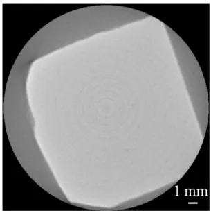 Figure 1.20 Cross section image of gas hydrate pellet formed by semi-batch hydrate  formation device obtained by X-ray computed tomography 