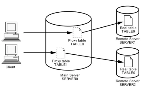 Fig. 2.15. Schematic view of a proxy database table used in a distributed database technology